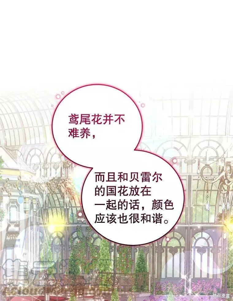 第61话 第81页