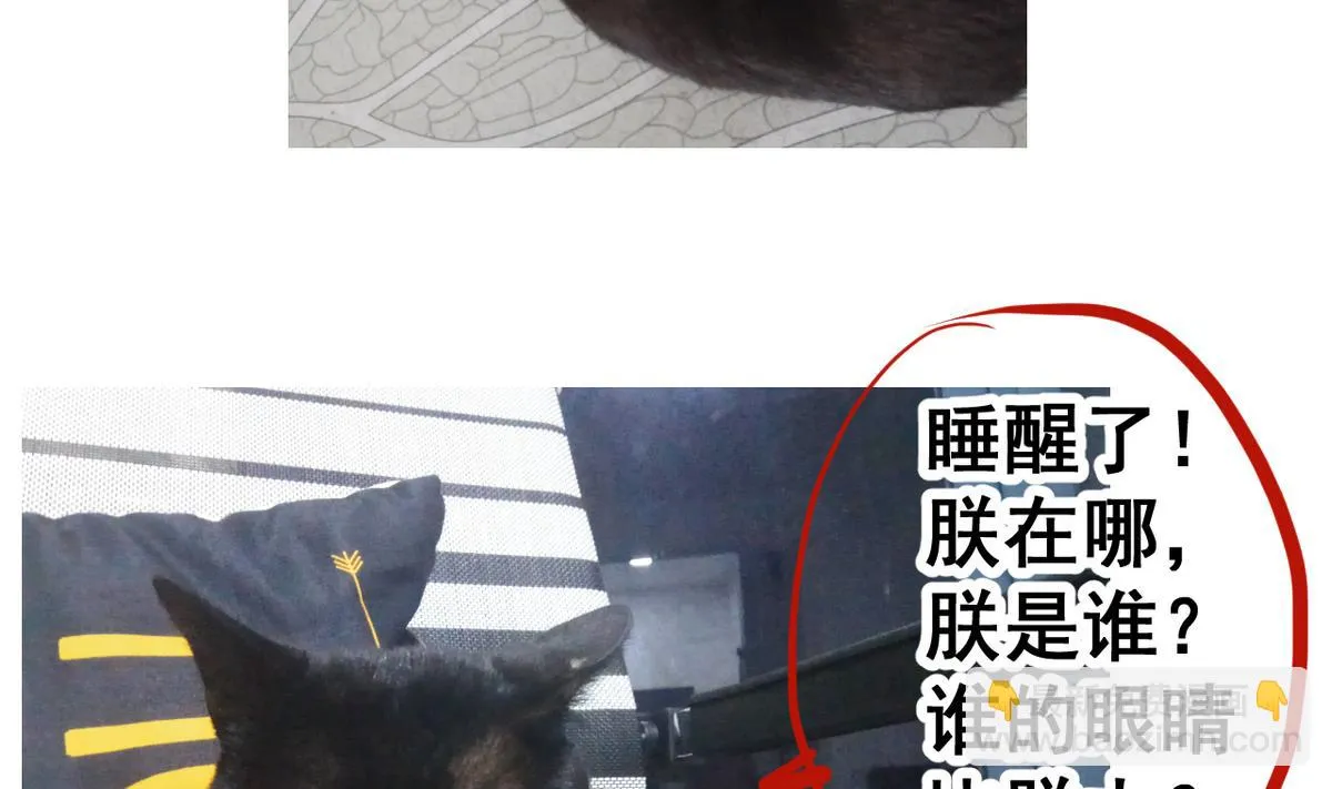 第49话 人丹 第48页
