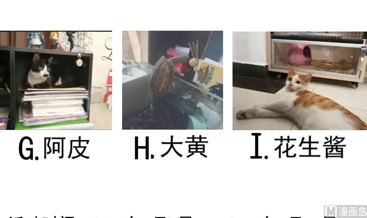 第124话 亡命鸳鸯？ 第46页