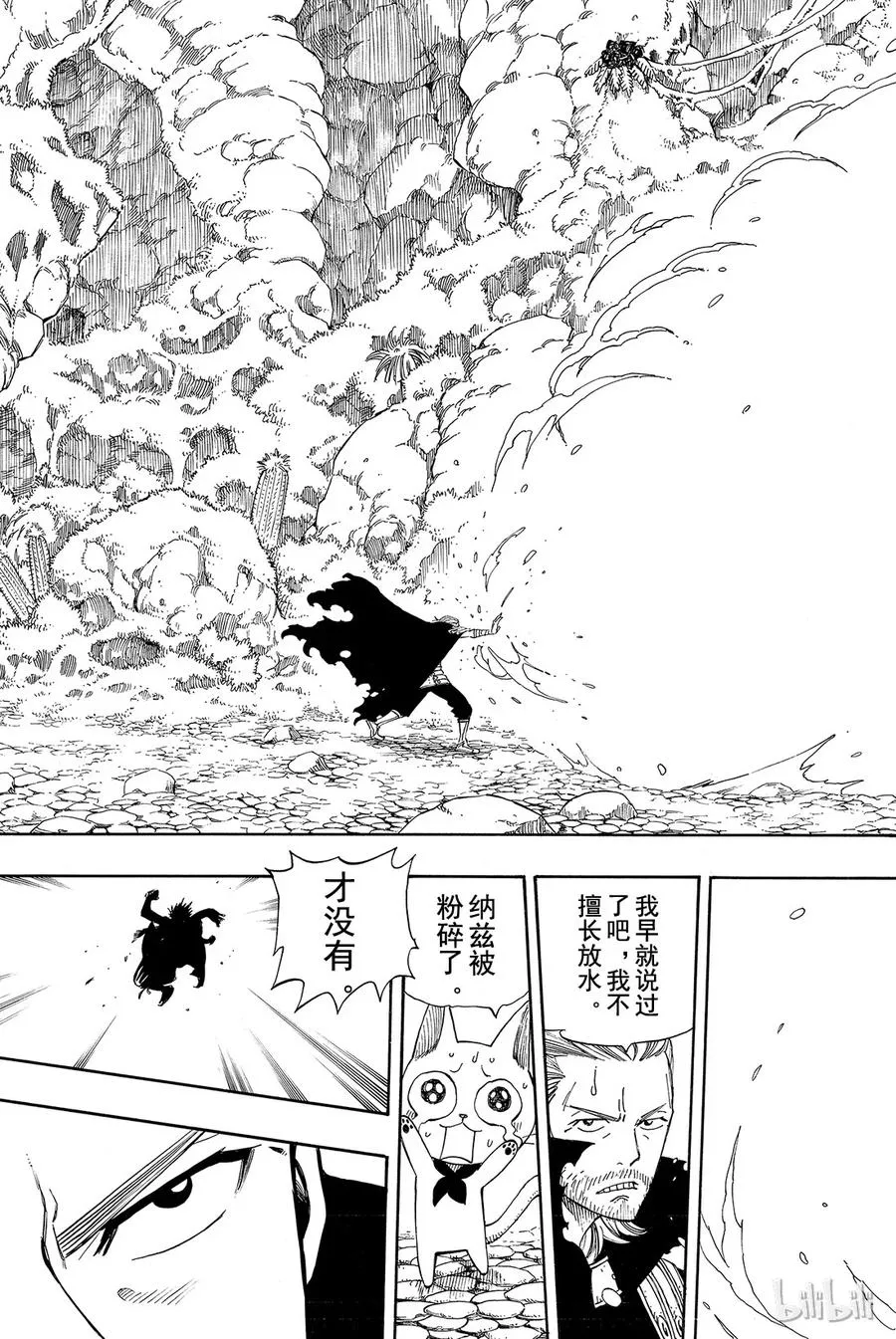 205 纳兹VS基尔达斯 第14页