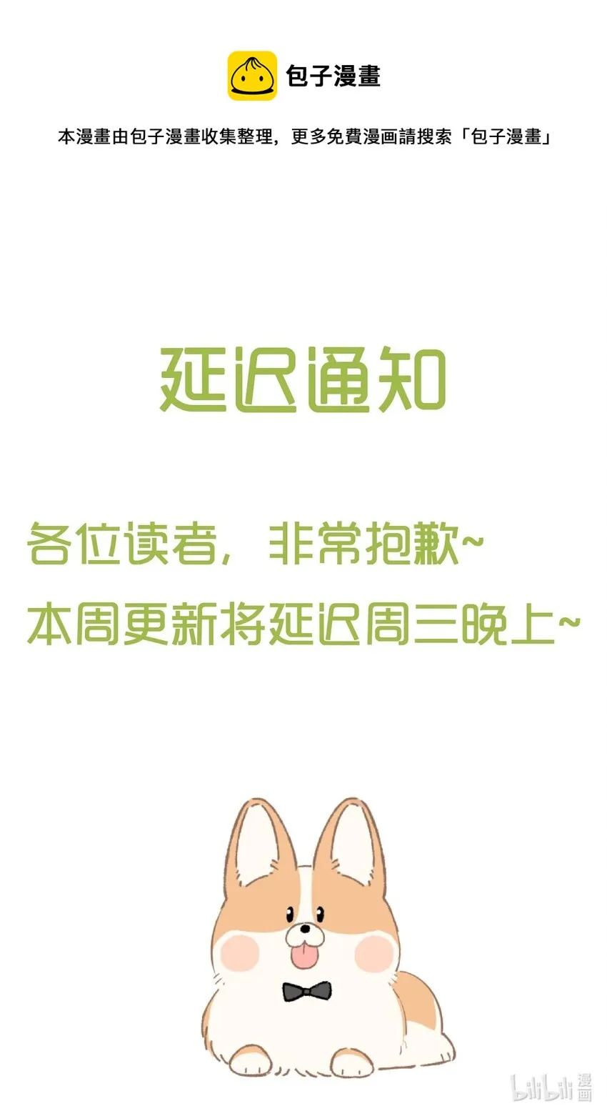 延迟更新 公告 第1页