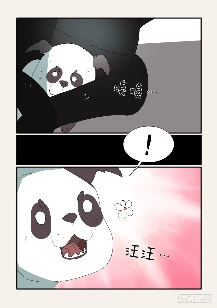 377哥哥 第5页