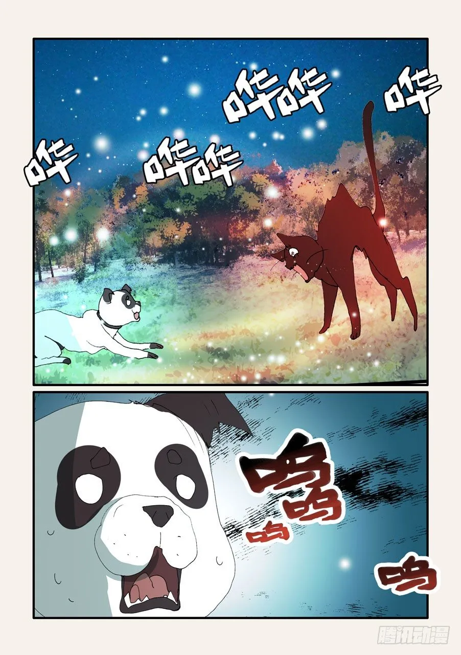 375结晶的碰撞 第21页