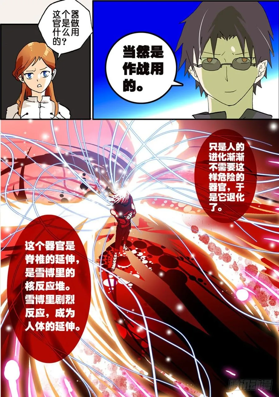 016锦背战脊 第11页