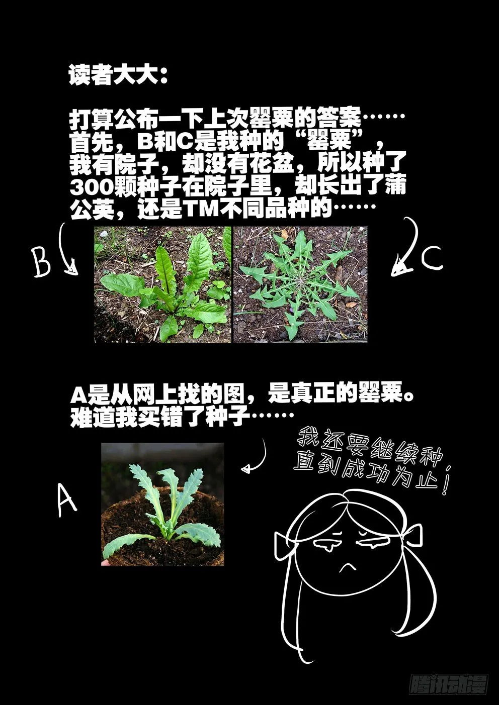 137变故 第12页