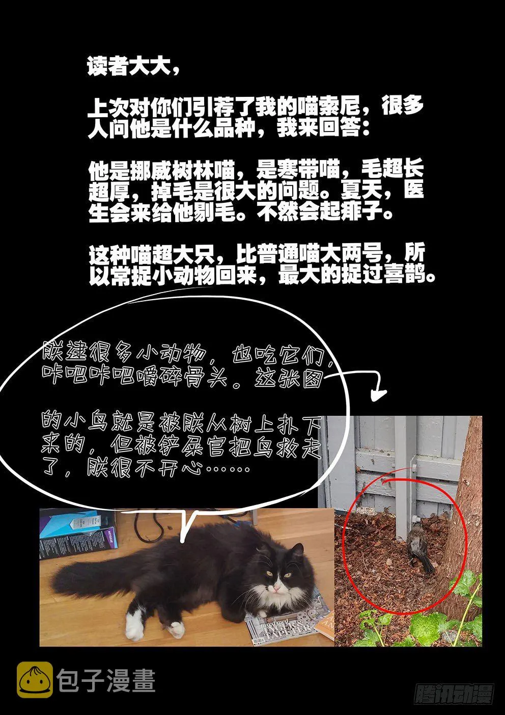 142赤瞳的用途 第12页