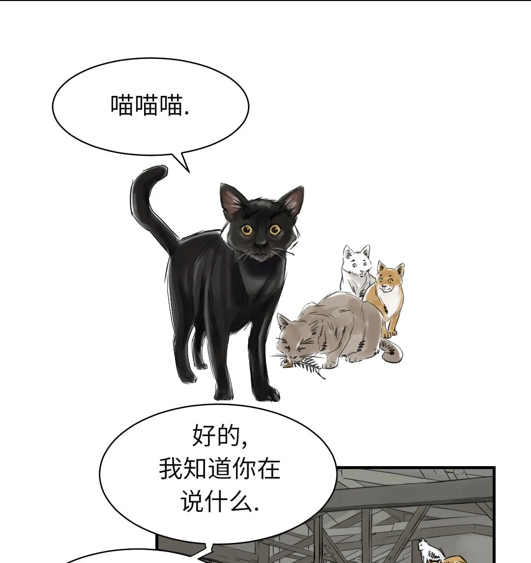 第78话 刺杀行动 第35页
