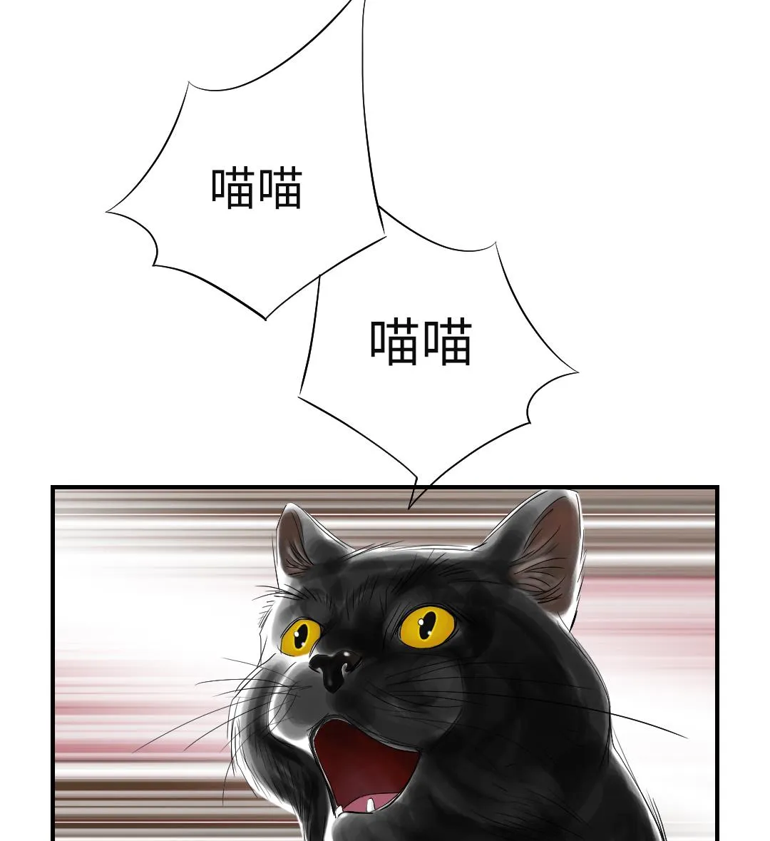 第78话 刺杀行动 第41页