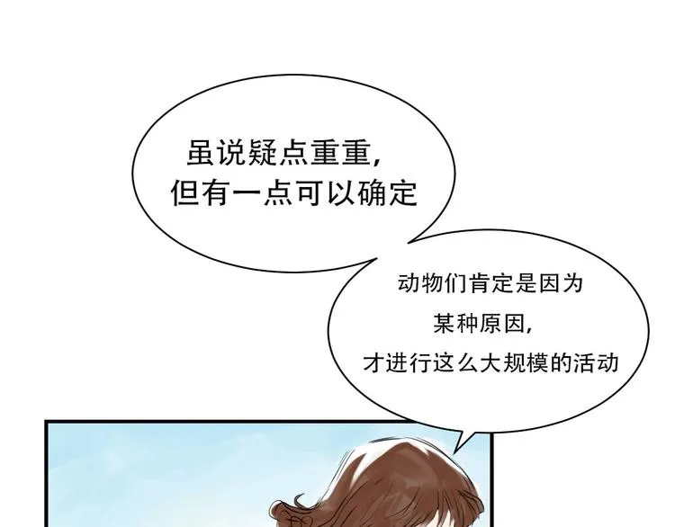 第10话 消失的动物 第19页