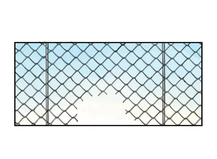 第10话 消失的动物 第38页
