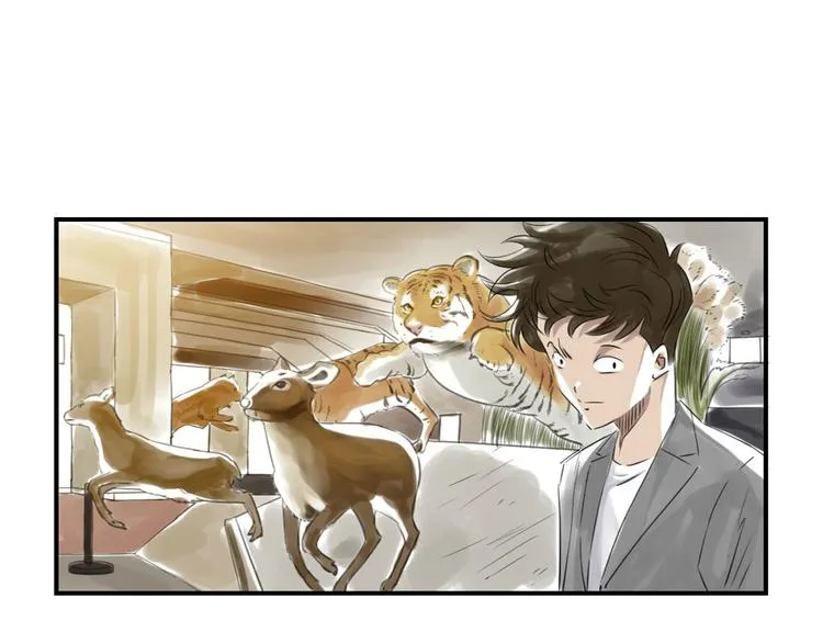 第11话 消失的动物（二） 第36页