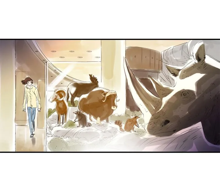 第11话 消失的动物（二） 第38页