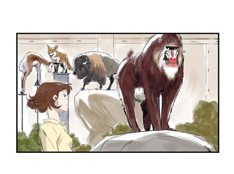 第11话 消失的动物（二） 第48页