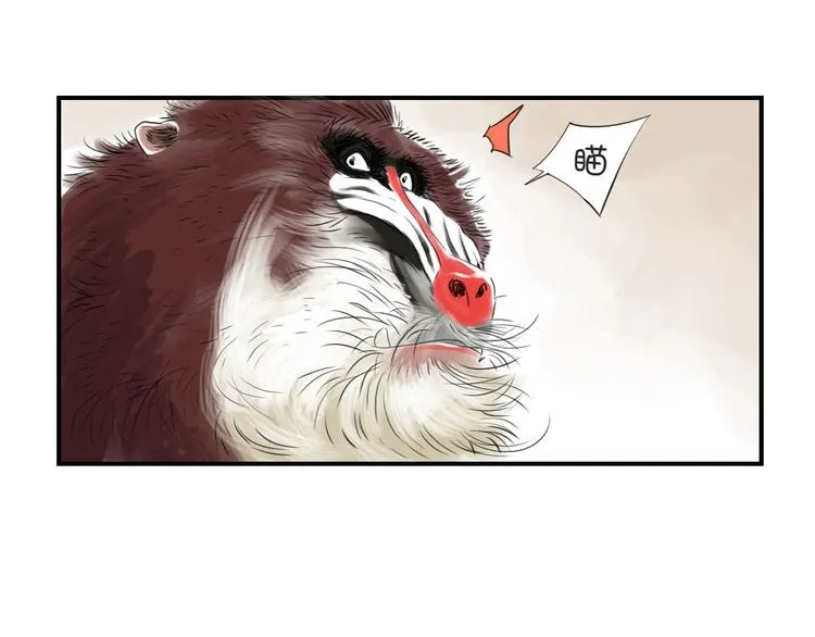 第11话 消失的动物（二） 第50页