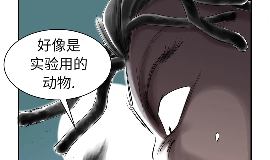 第52话 惹恼了 第17页