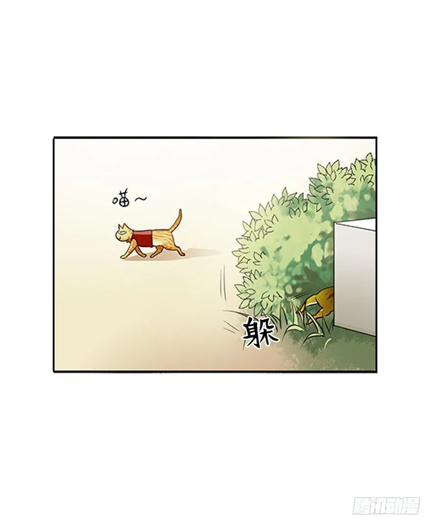 第二十二回 第5页