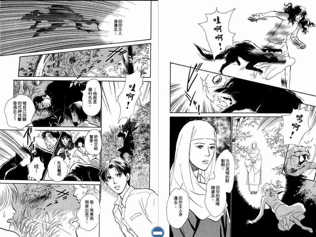 第4卷 第51页