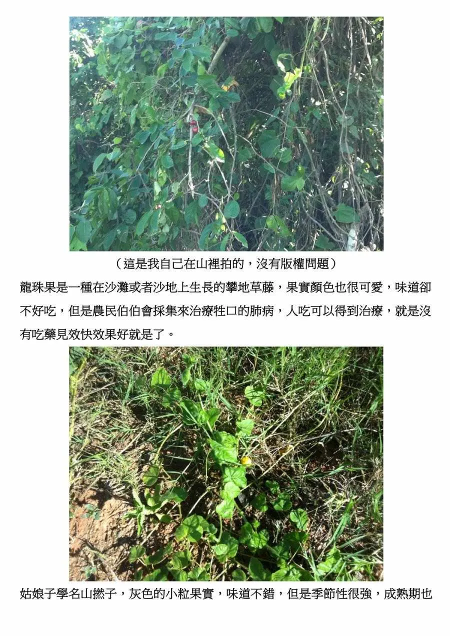 第43话 第10页