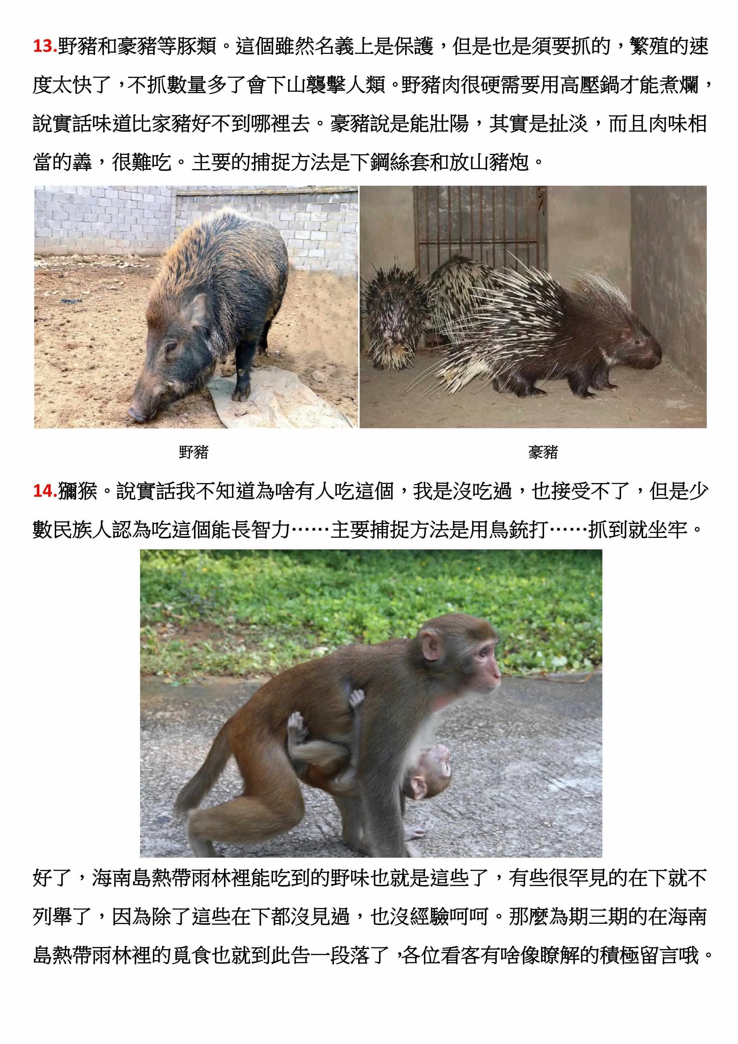 第44话 第14页