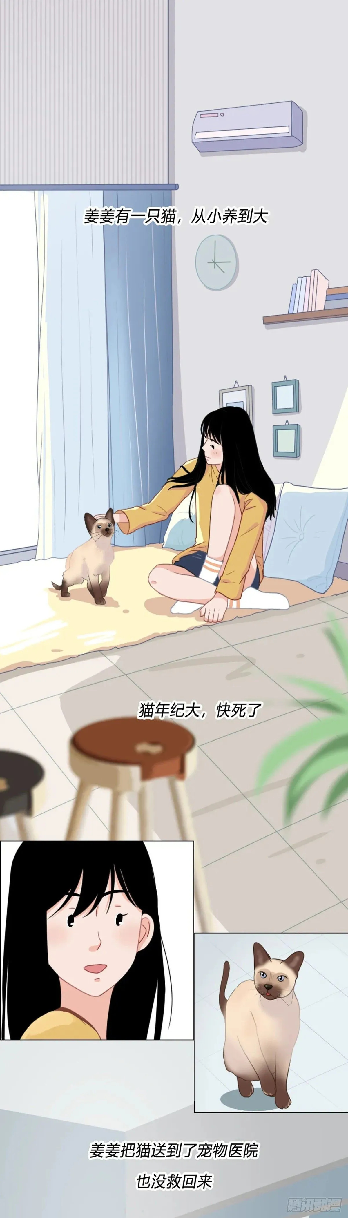 第二十四章 你要好好活着 第1页