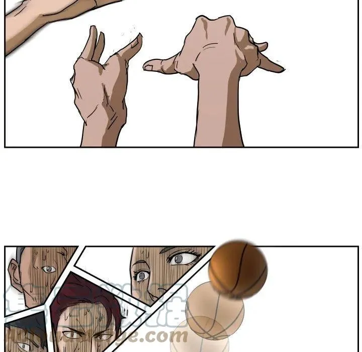 54 第57页