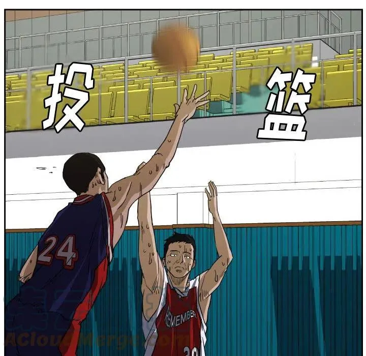 53 第29页