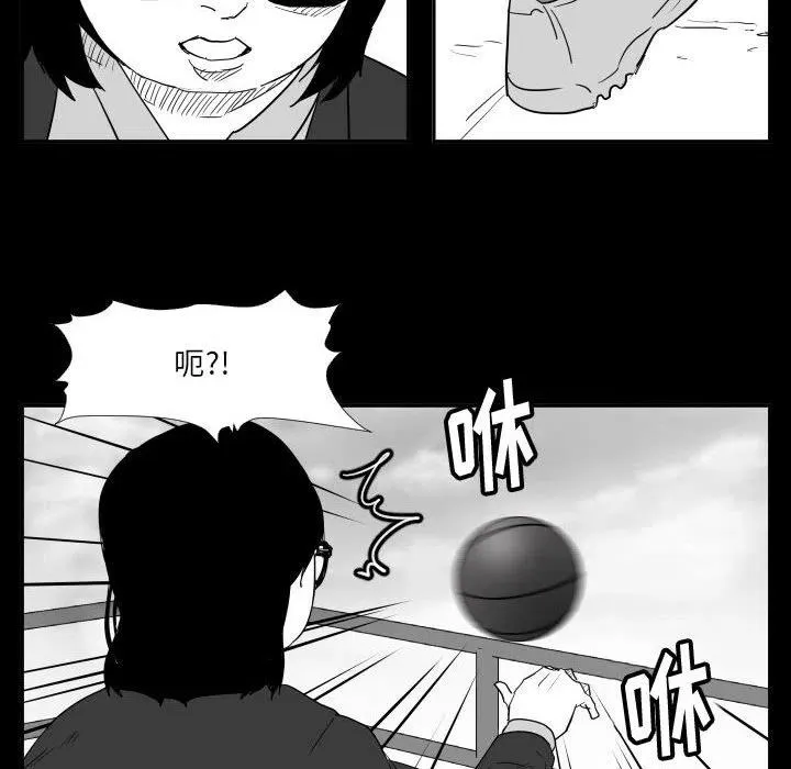 46 第31页