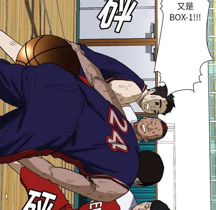 44 第28页