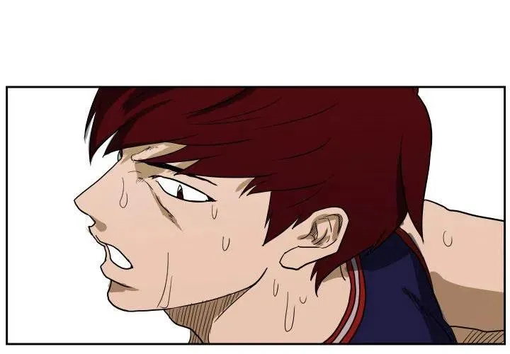 43 第4页