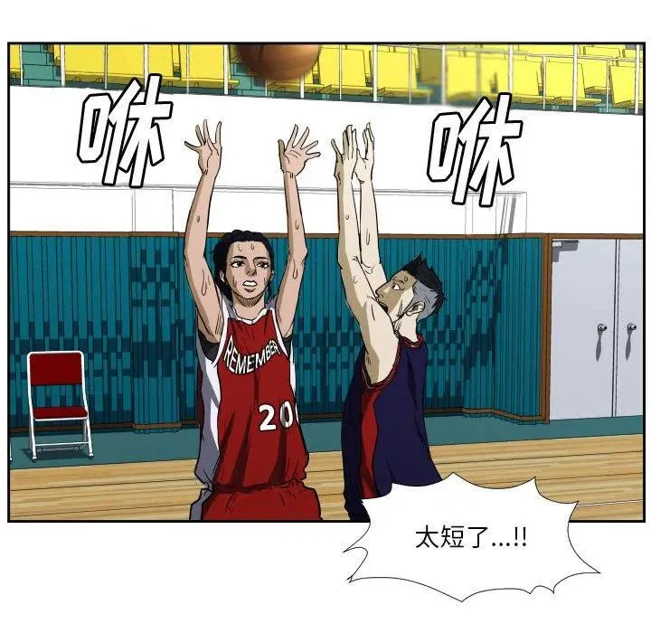 43 第43页