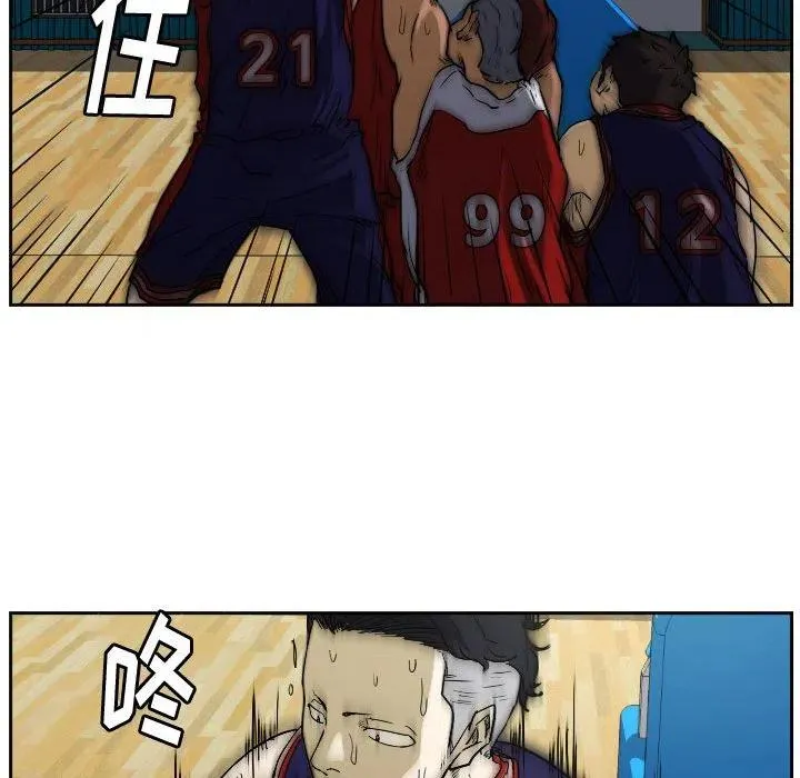 43 第46页