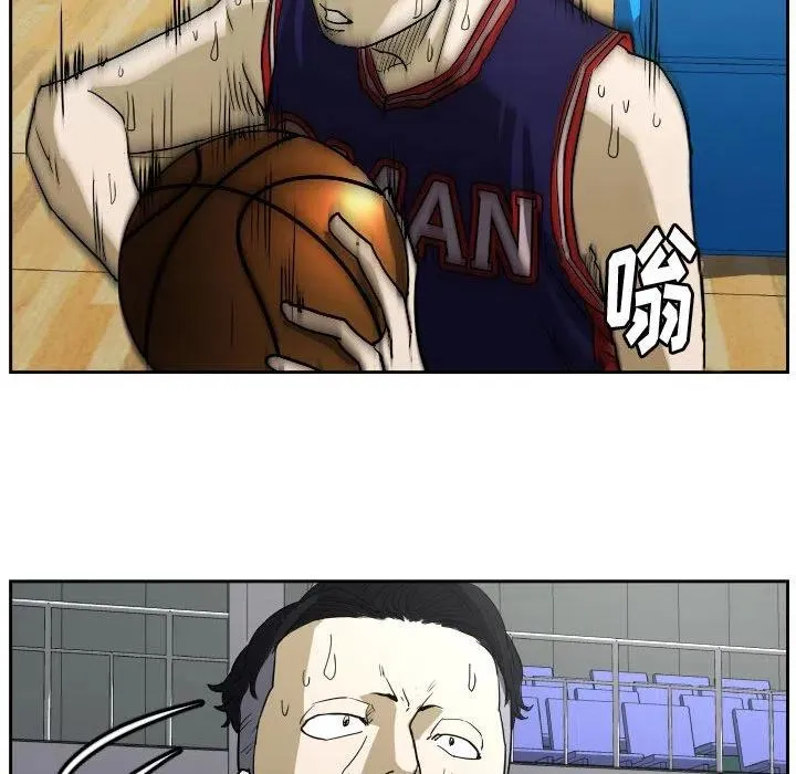 43 第47页