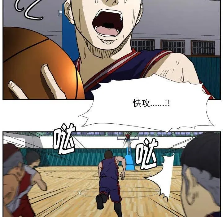 43 第48页