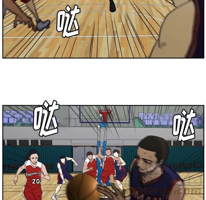 43 第49页