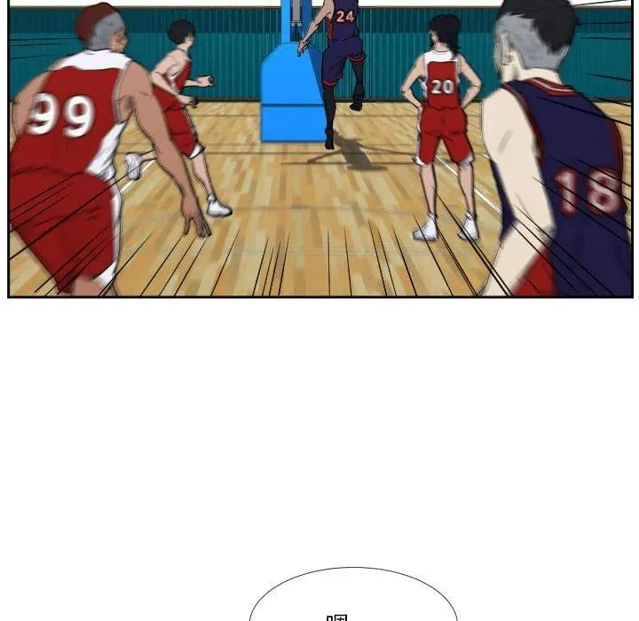 43 第51页
