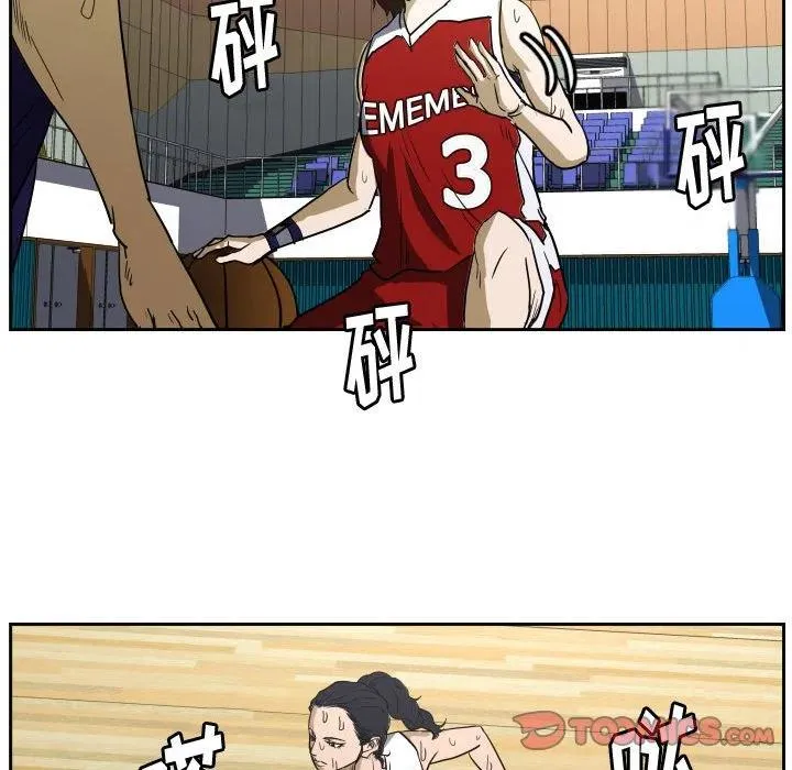 43 第56页
