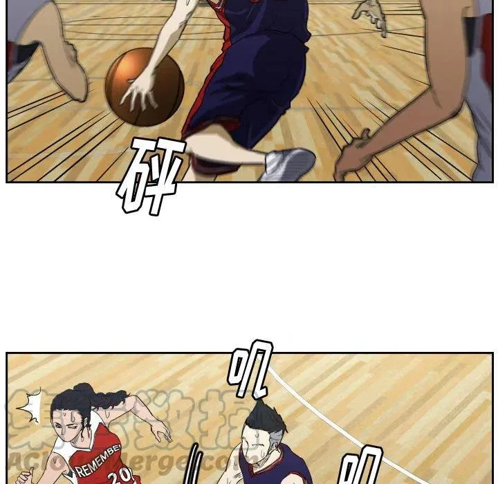 43 第61页
