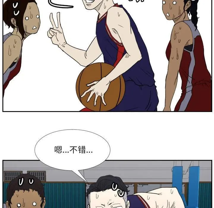 43 第63页