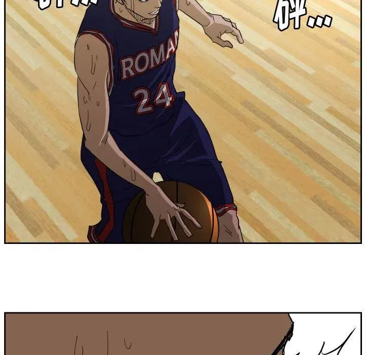 43 第66页