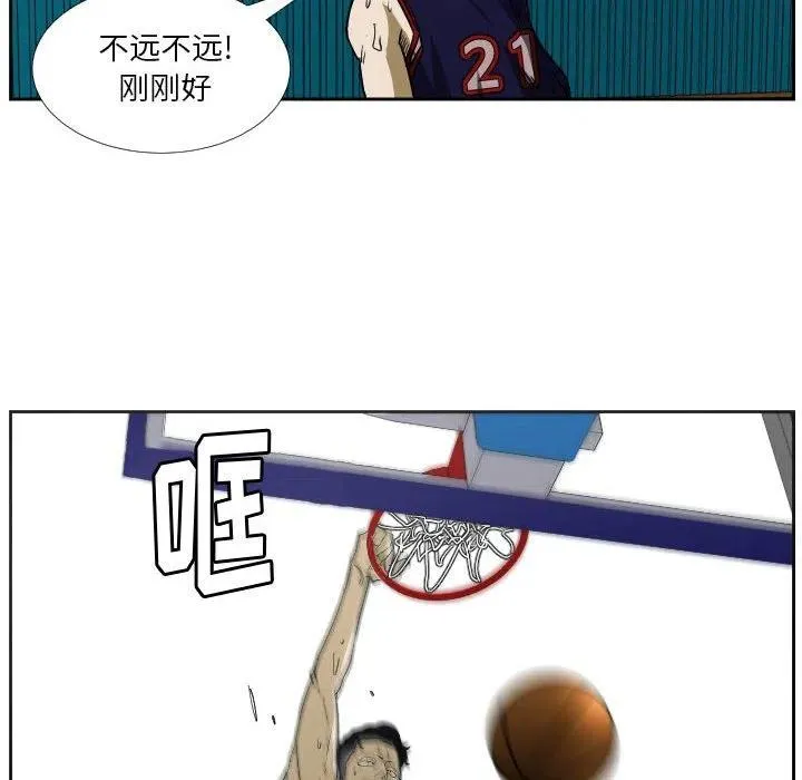 43 第75页
