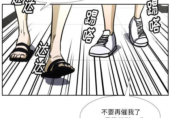 41 第3页