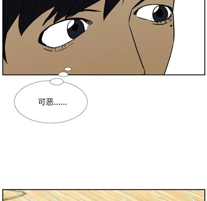 41 第41页