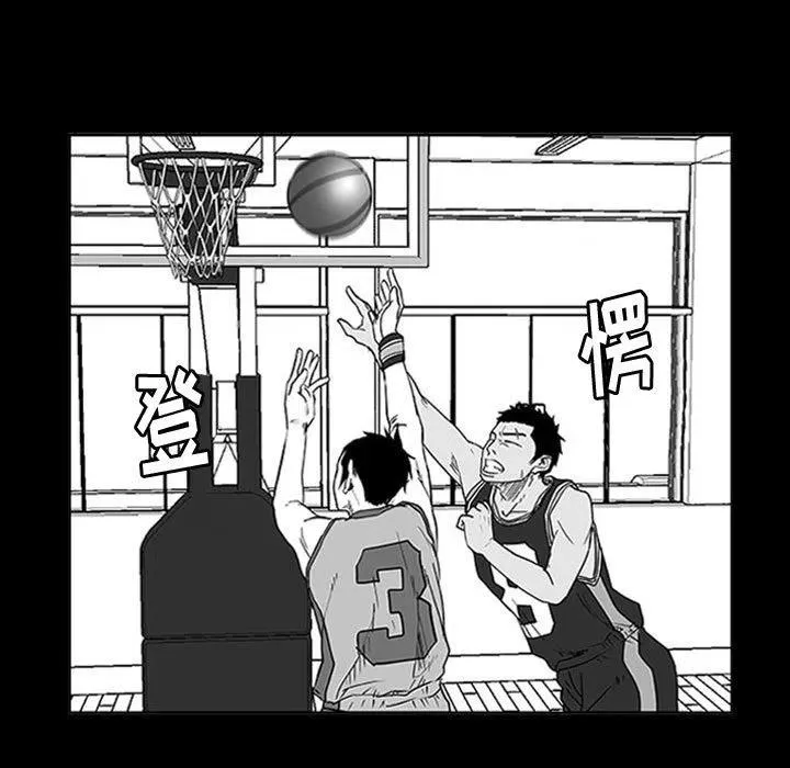 8 第26页