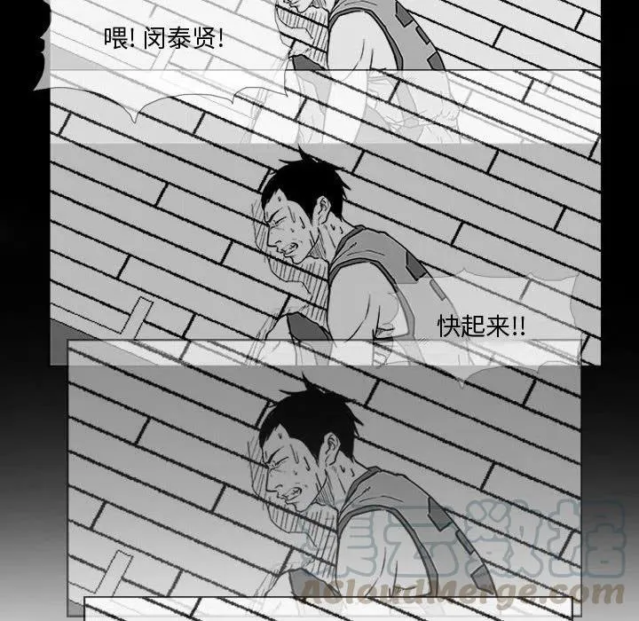 8 第31页