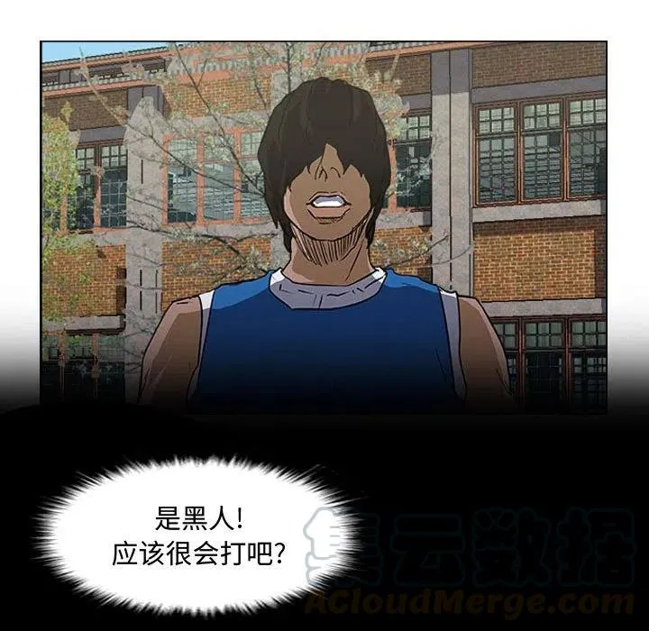 19 第13页