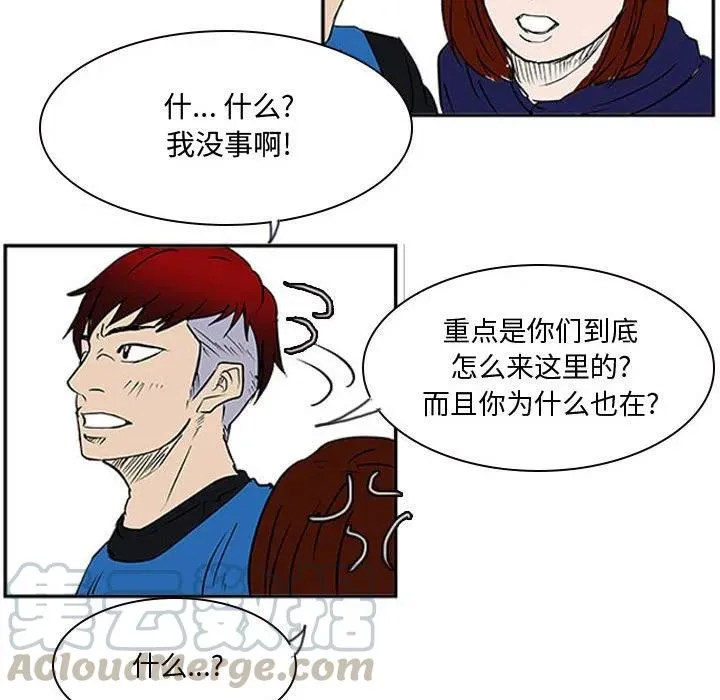 19 第77页