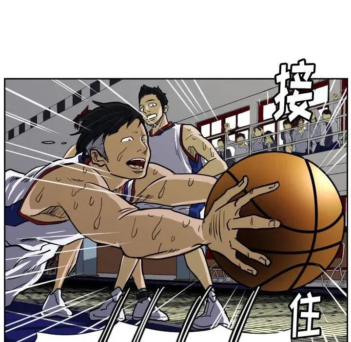 33 第8页