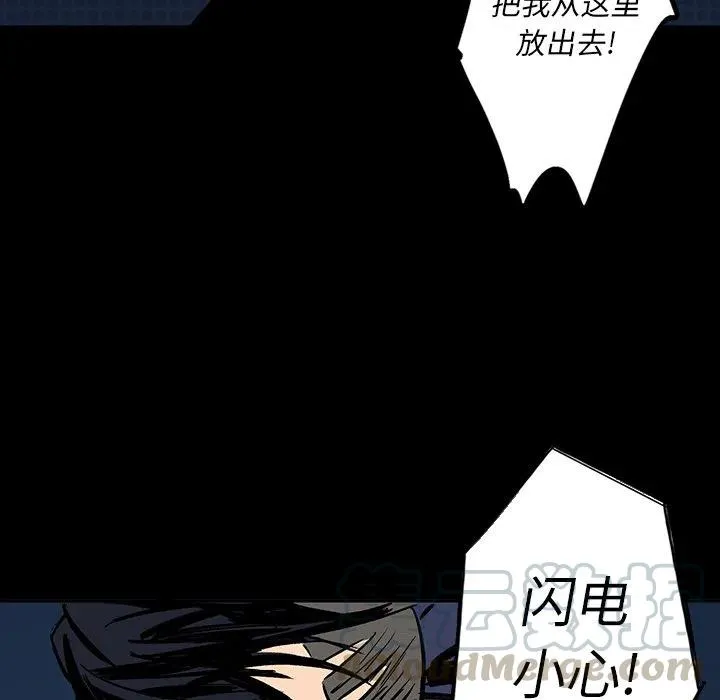 14 第41页