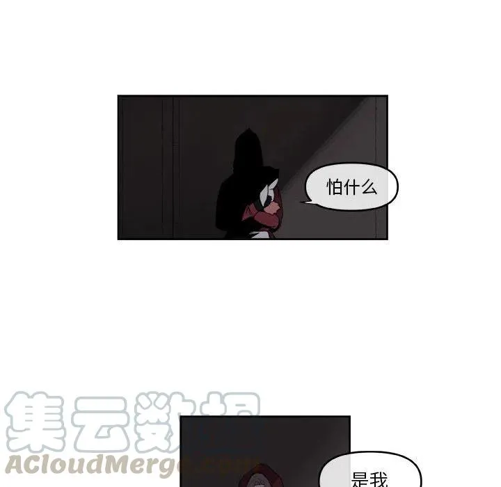 55 第19页