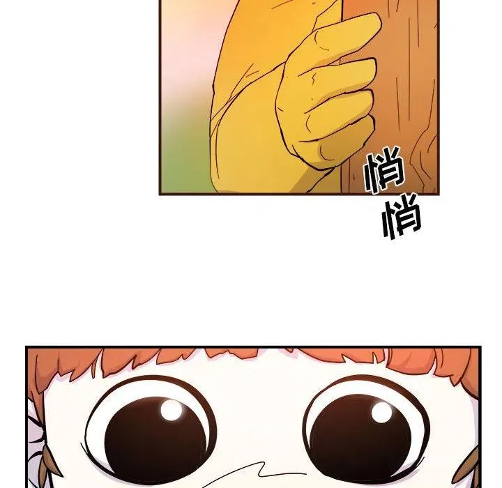 4 第6页